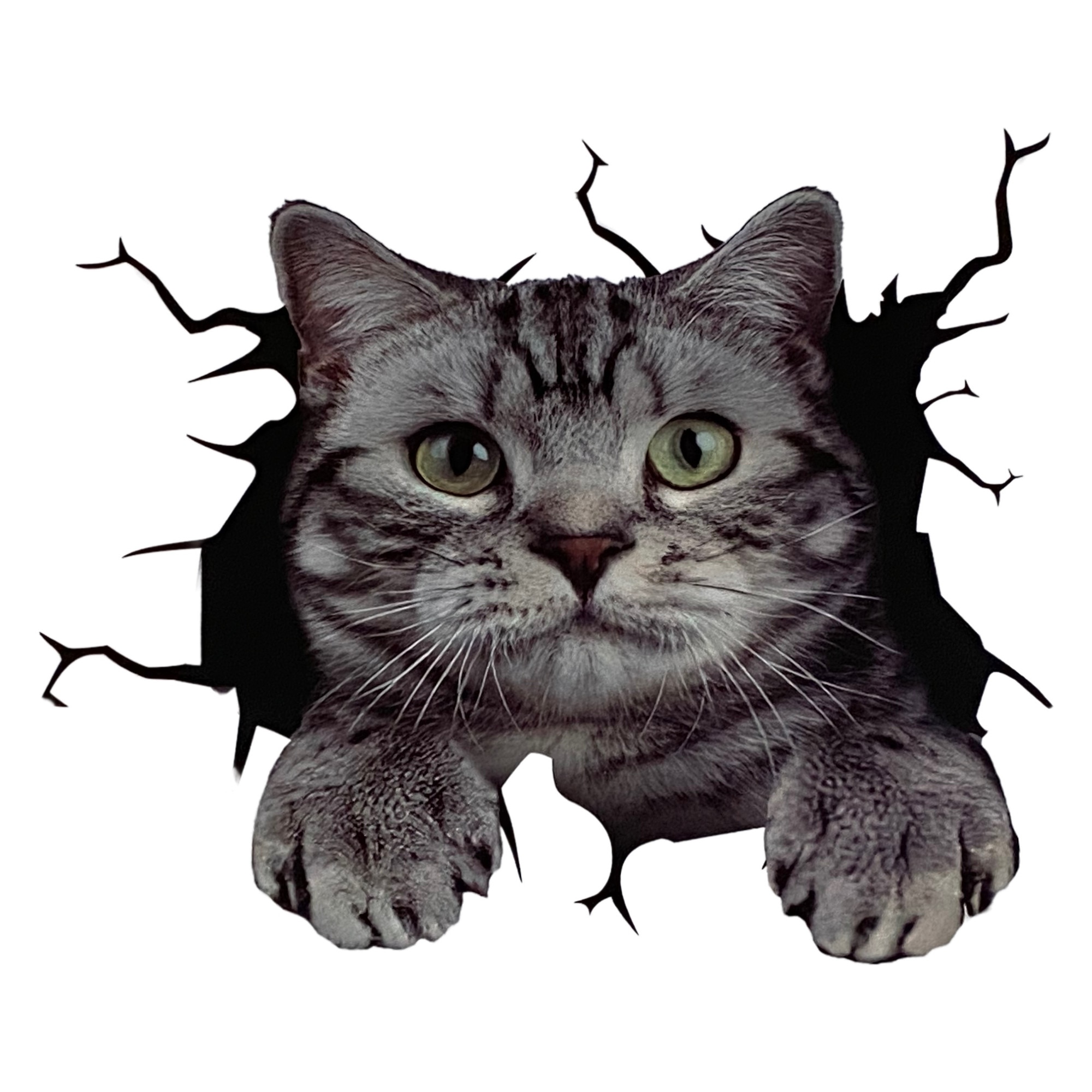 Imagine pentru Abtibild luneta auto Pisica, tip Sticker, 30 x 30 cm